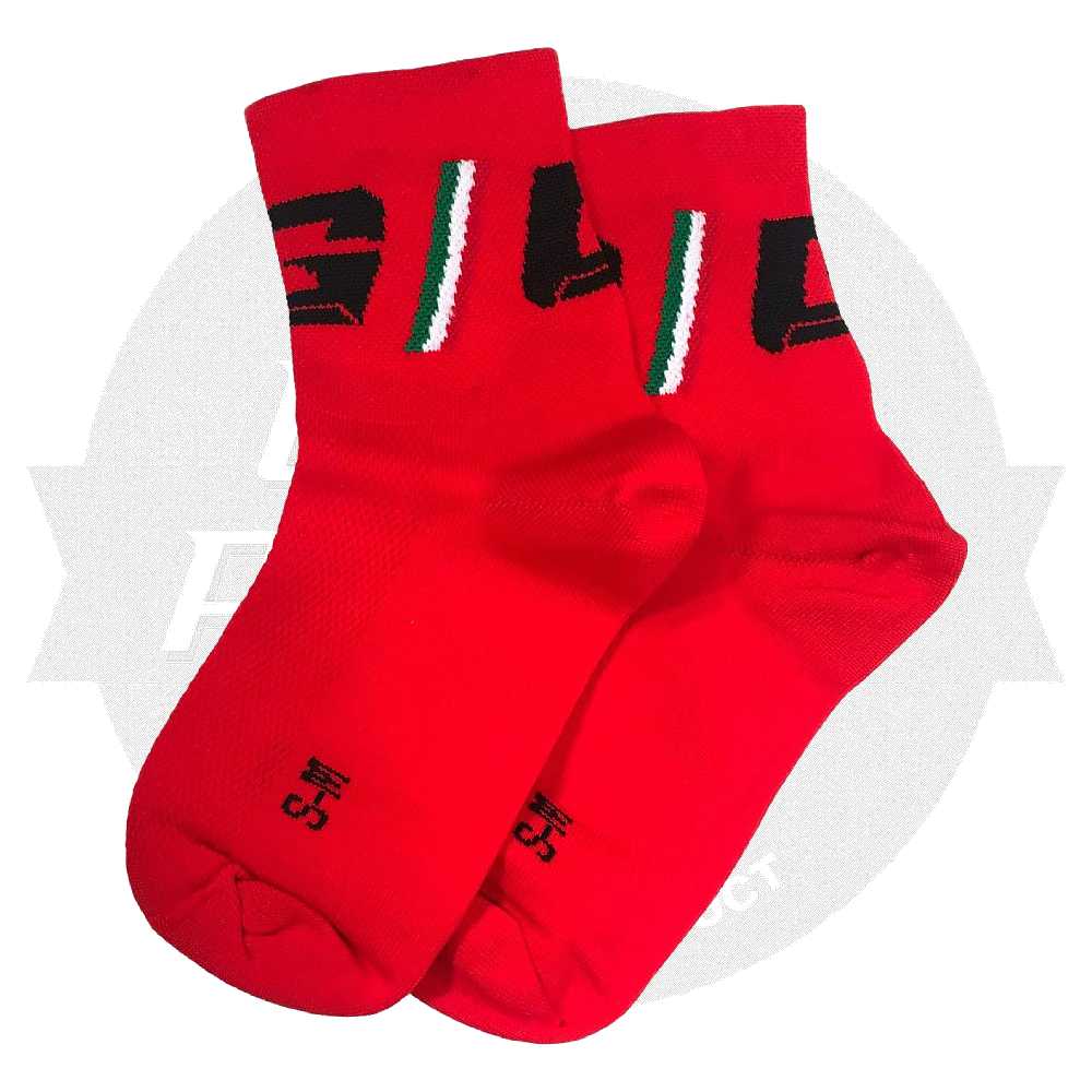 GAERNE(ガエルネ)Professional Socks(プロフェッショナルソックス)(Red(レッド))